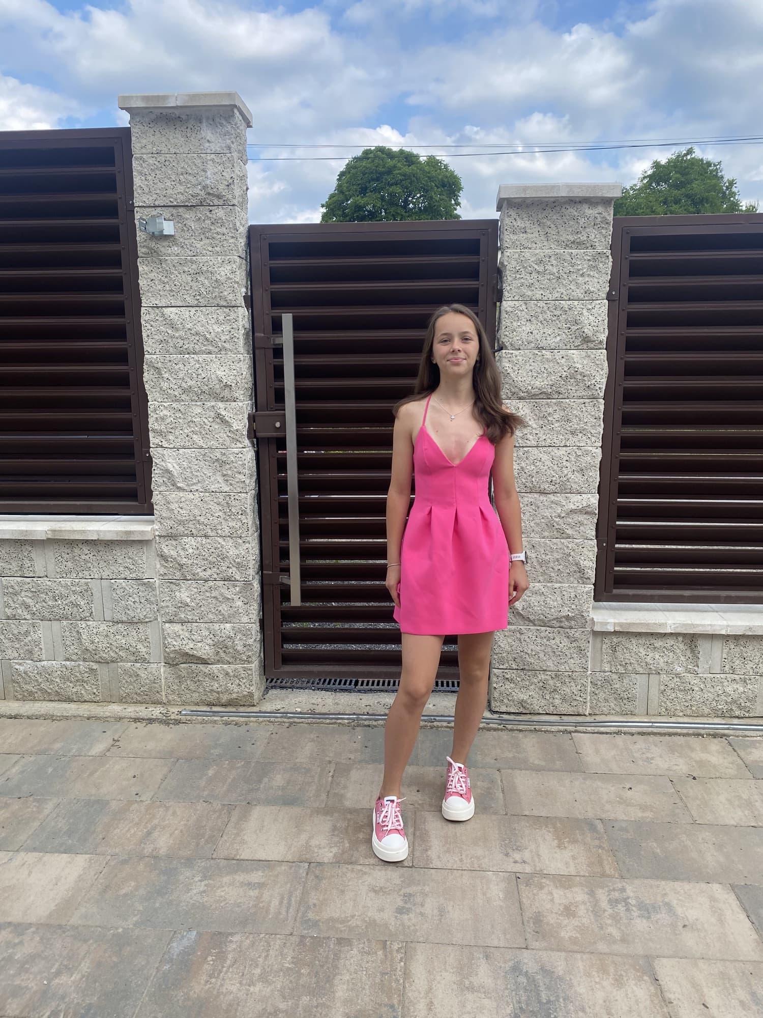 Ana la finalul clasei a V-a